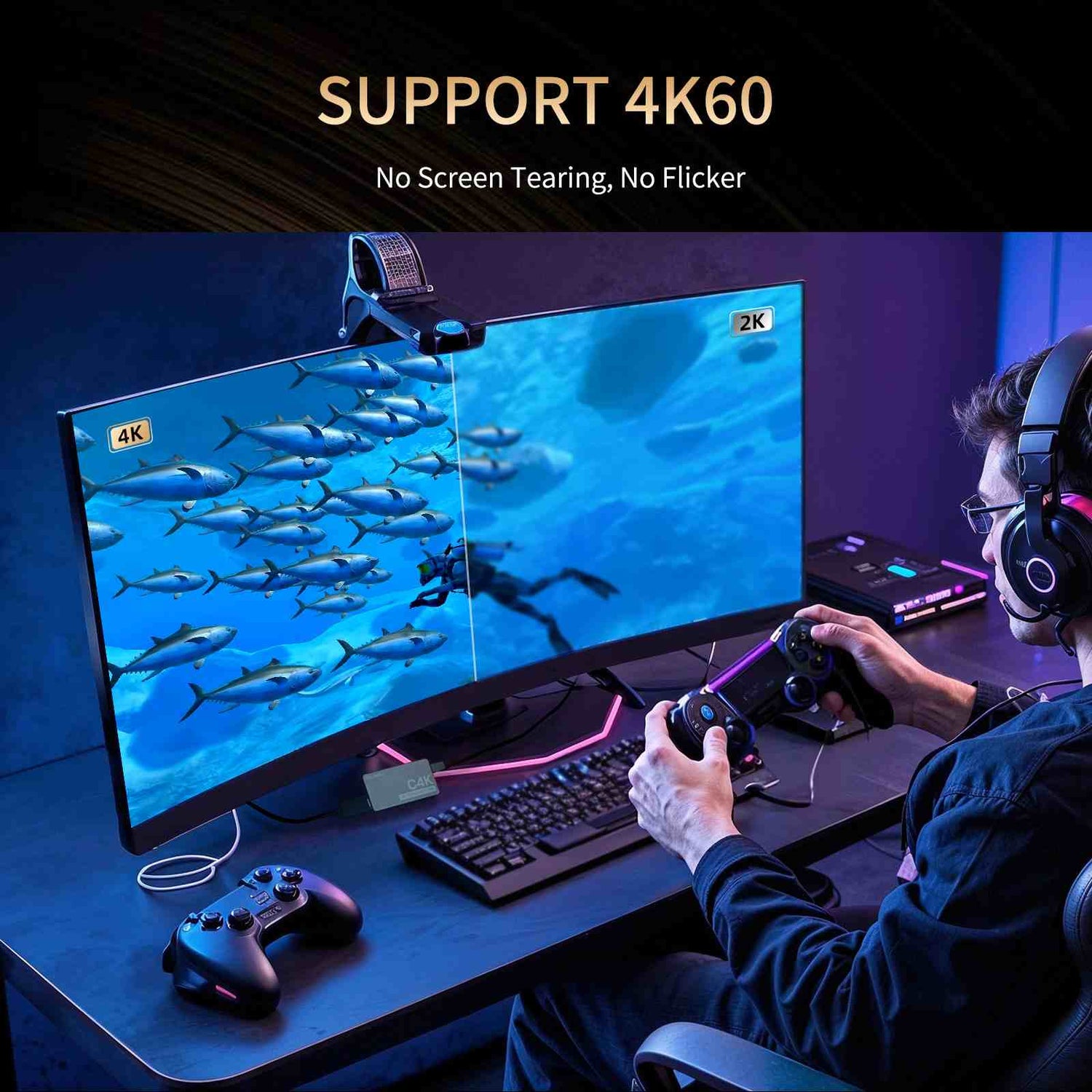 Gaming Consoles